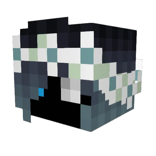 Nightfrost445 Minecraft avatar head, 3D render