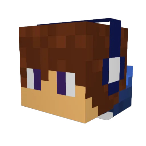 Nighthawk1770 Minecraft avatar head, 3D render