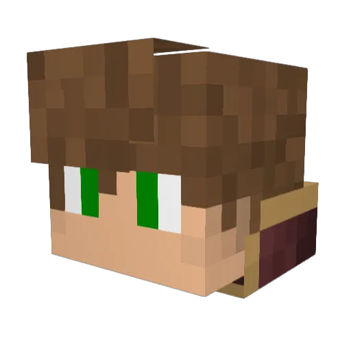Nighthawk4582 Minecraft avatar head, 3D render