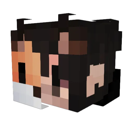 Nighthntr92 Minecraft avatar head, 3D render