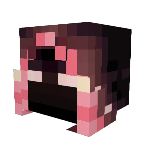 Nighthunter287 Minecraft avatar head, 3D render