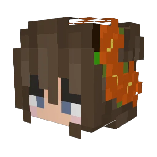 NightinGaell Minecraft avatar head, 3D render