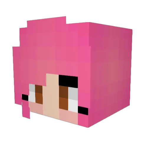 Nightingale0666 Minecraft avatar head, 3D render
