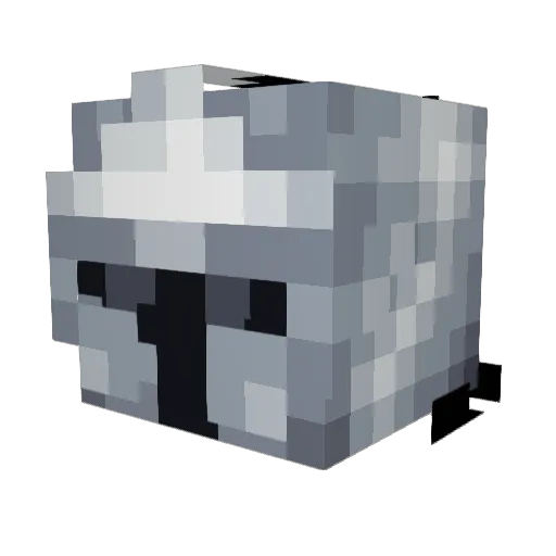 Nightjar_41 Minecraft avatar head, 3D render