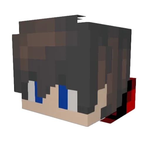Nightlion_ Minecraft avatar head, 3D render