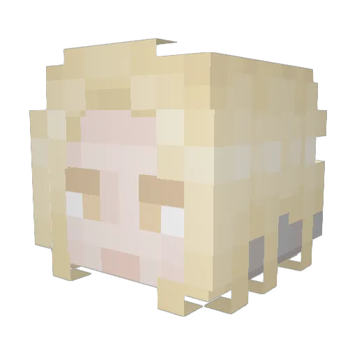 Nightlith Minecraft avatar head, 3D render
