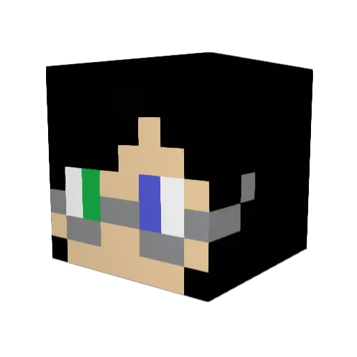 NightlyNocturne Minecraft avatar head, 3D render