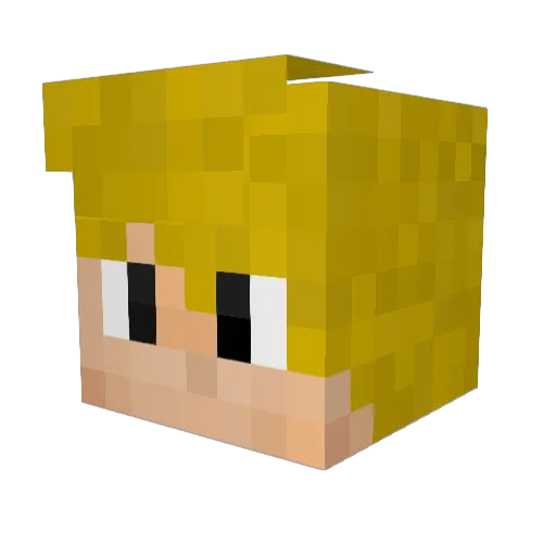 NightmanXD Minecraft avatar head, 3D render