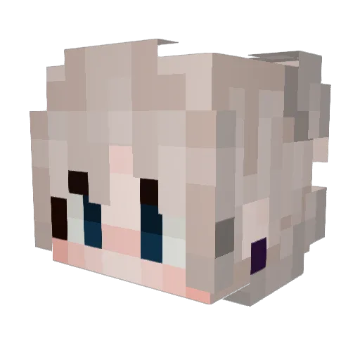 Nightmare2455 Minecraft avatar head, 3D render