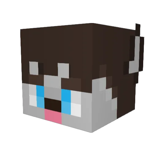 Nightmare8302 Minecraft avatar head, 3D render