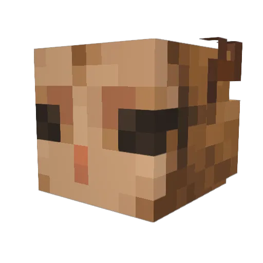 NightmareOptics Minecraft avatar head, 3D render