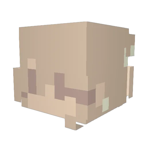 NightmareSans08 Minecraft avatar head, 3D render