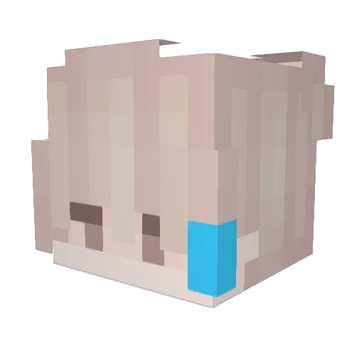 NightmareTRUE Minecraft avatar head, 3D render