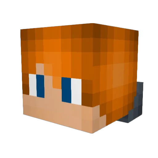 Nightmareeagle Minecraft avatar head, 3D render