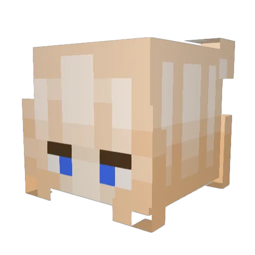 Nightmyro Minecraft avatar head, 3D render
