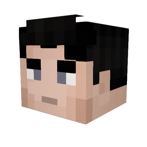 Nightowl2896 Minecraft avatar head, 3D render