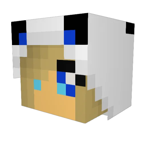 Nightowl523 Minecraft avatar head, 3D render