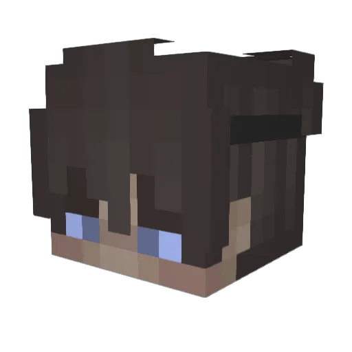 Nightpole20 Minecraft avatar head, 3D render