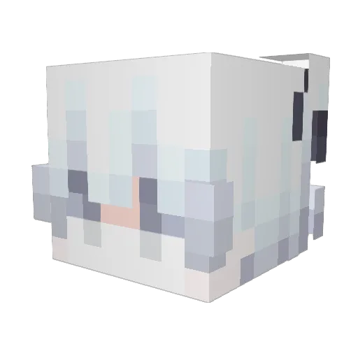 Nightriders2000 Minecraft avatar head, 3D render