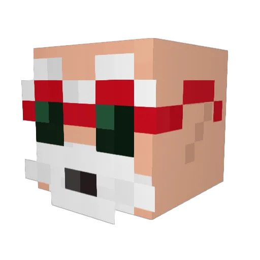 Nights18 Minecraft avatar head, 3D render