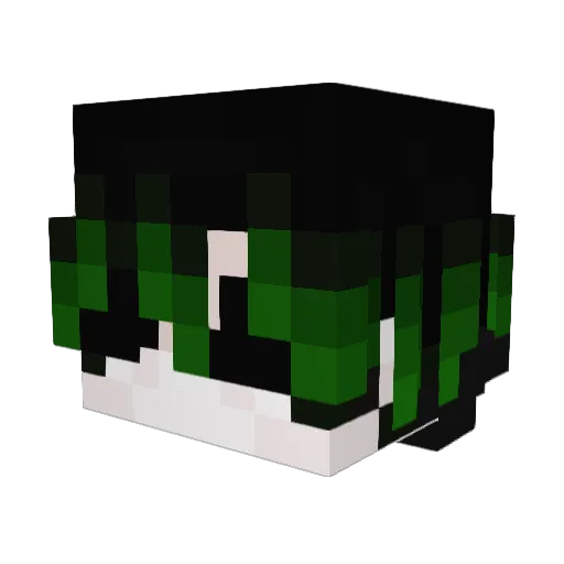 NightsFuryzZTR Minecraft avatar head, 3D render