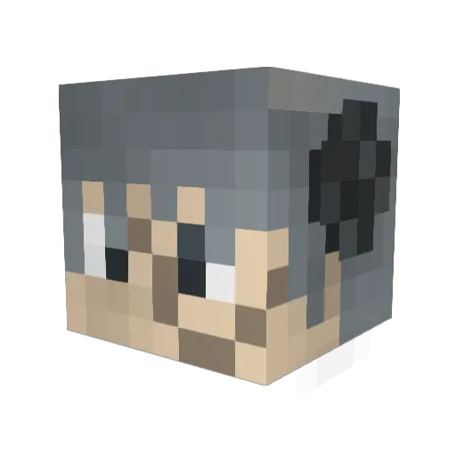 Nightshade290 Minecraft avatar head, 3D render