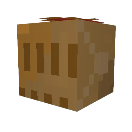Nightshade63 Minecraft avatar head, 3D render