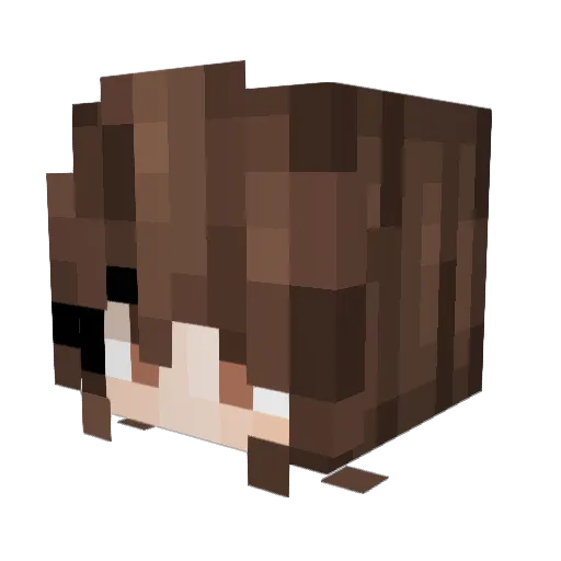 Nightshift_23 Minecraft avatar head, 3D render