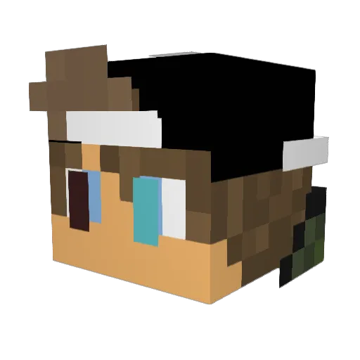 Nightslayer21 Minecraft avatar head, 3D render