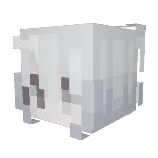 Nightsnow1101 Minecraft avatar head, 3D render