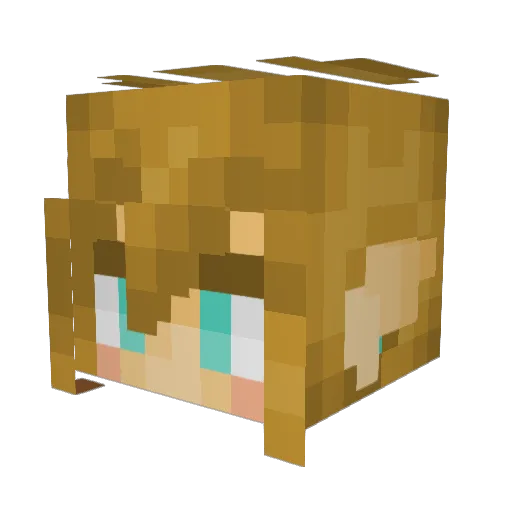 Nightstar4 Minecraft avatar head, 3D render