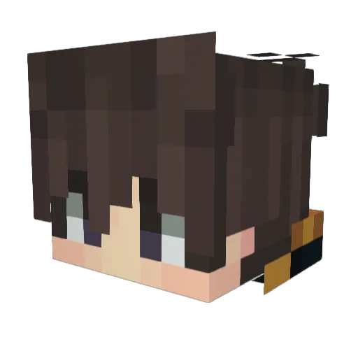 Nightstar_ Minecraft avatar head, 3D render
