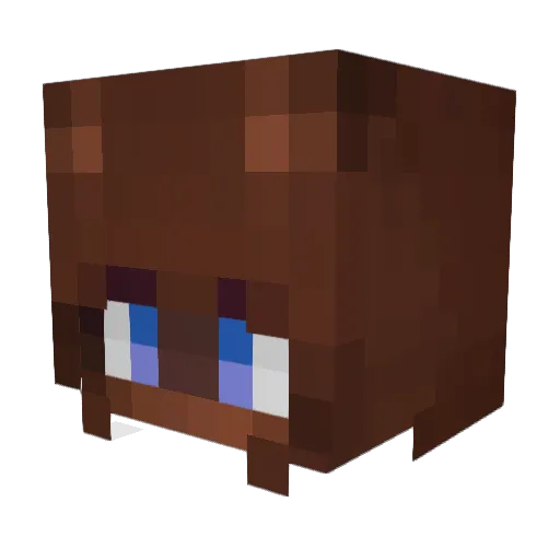 Nightwalker1313 Minecraft avatar head, 3D render