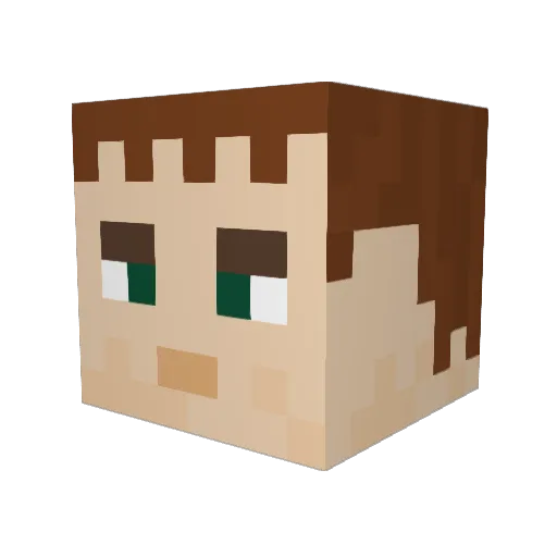 Nightwing2244 Minecraft avatar head, 3D render
