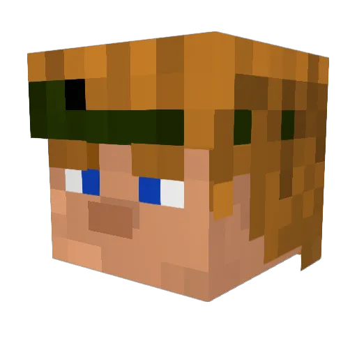 Nightwing59 Minecraft avatar head, 3D render