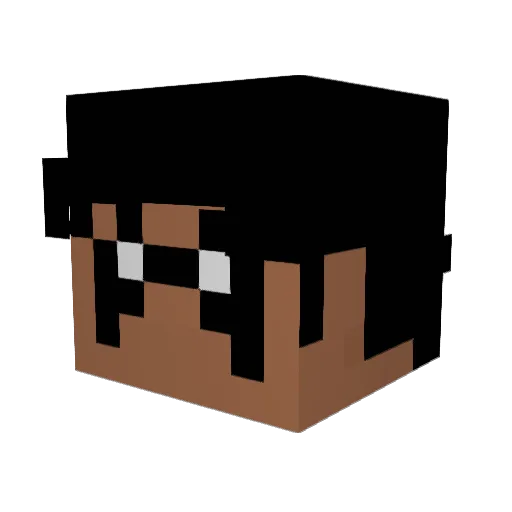 NightwingJex Minecraft avatar head, 3D render
