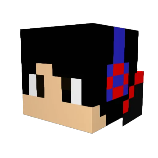 NightwingSLZ Minecraft avatar head, 3D render