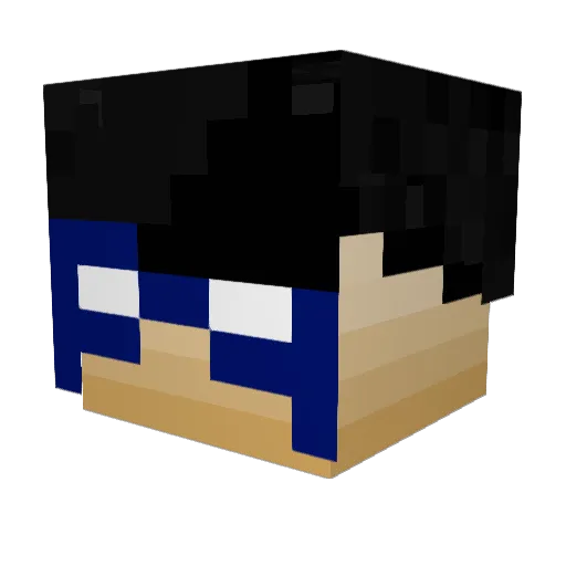 Nightwingg___ Minecraft avatar head, 3D render