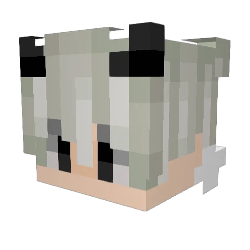 Nightwolf_Lotus Minecraft avatar head, 3D render