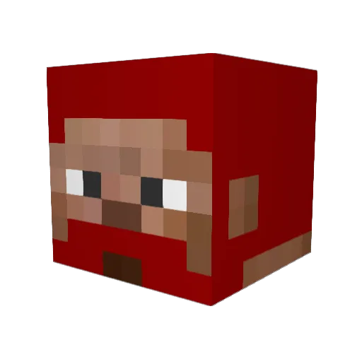 Nightwolfy13 Minecraft avatar head, 3D render