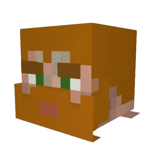 NightyKnighty Minecraft avatar head, 3D render
