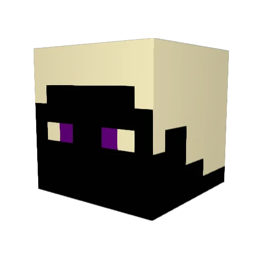 Nightzone3 Minecraft avatar head, 3D render