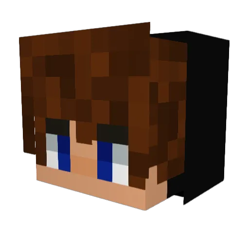 NightzzGaming20 Minecraft avatar head, 3D render