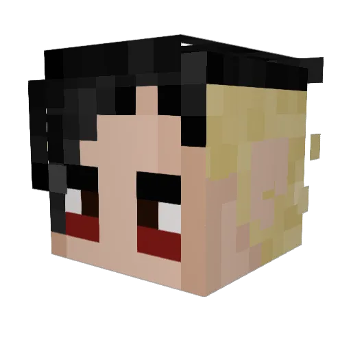 Niglin6 Minecraft avatar head, 3D render
