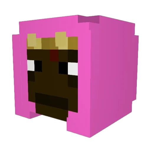 NigoHilfiger Minecraft avatar head, 3D render