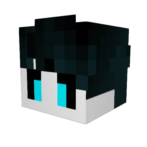 Nigo_0_0 Minecraft avatar head, 3D render
