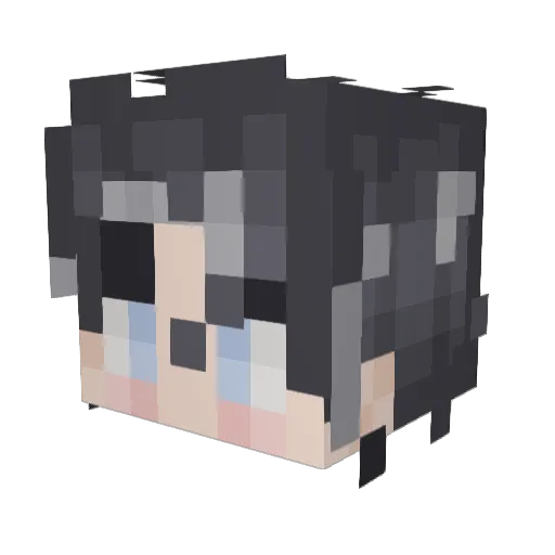 Nigo__ Minecraft avatar head, 3D render