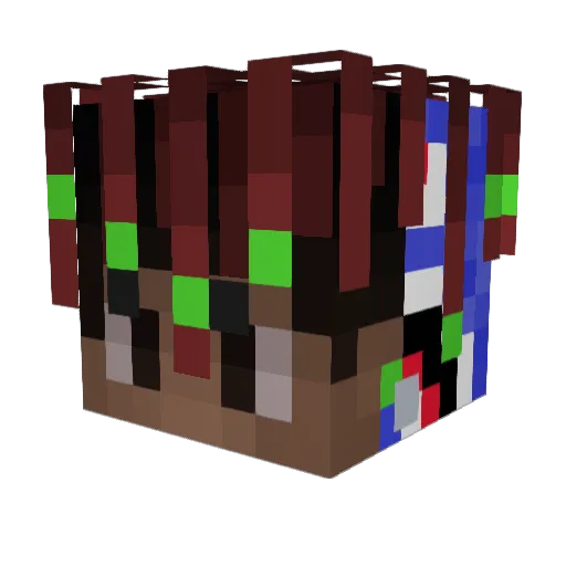 NigqaLivesMatter Minecraft avatar head, 3D render