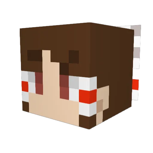 Nigrod_ Minecraft avatar head, 3D render