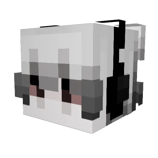 NigthMercenary Minecraft avatar head, 3D render